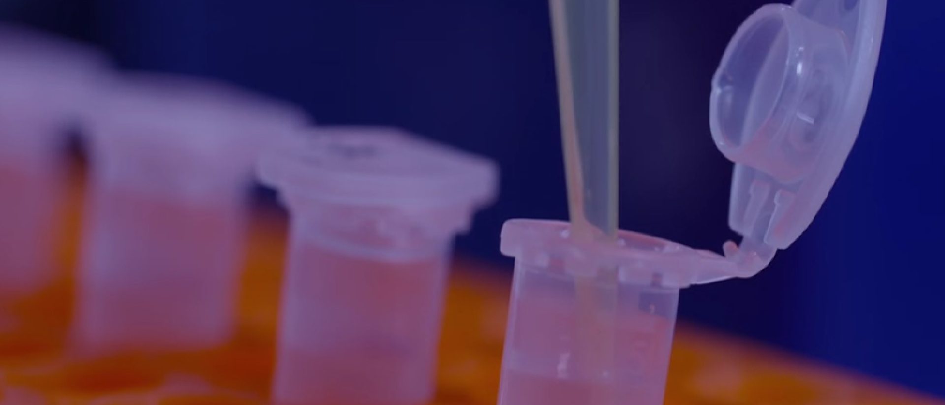 Referenzen M&A Dealnews PlasmidFactory Referenzen M&A Dealnews PlasmidFactory